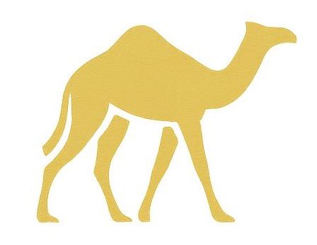 Camel Kits